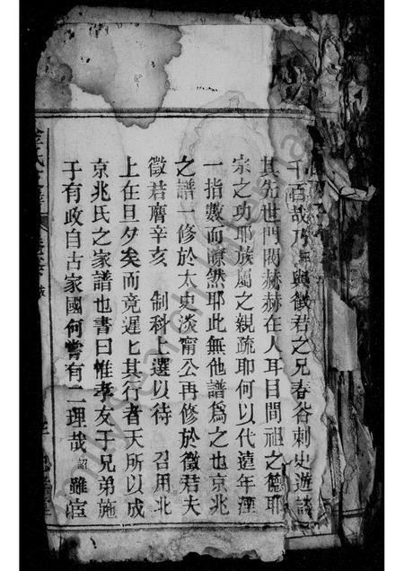 安徽金氏族谱-京兆金氏支谱.pdf电子版插图1