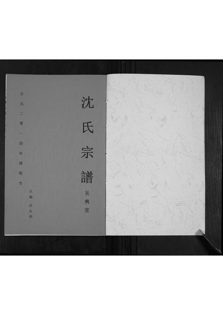 安徽沈氏族谱-沈氏宗谱[全1卷].pdf电子版插图1