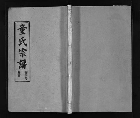 安徽童氏族谱-童氏宗谱 [15卷, 首1卷, 卷末上下].pdf电子版插图1