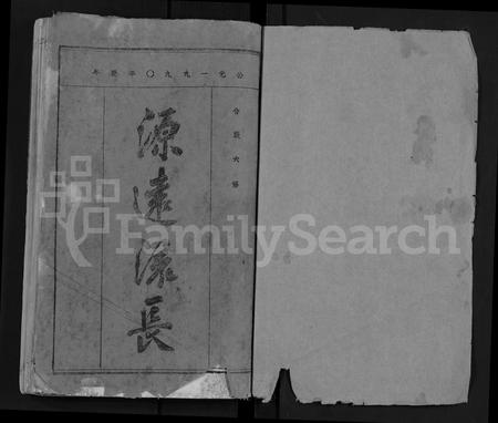 安徽汪氏族谱-汪氏家史 [14卷,首末各1卷].pdf电子版插图1