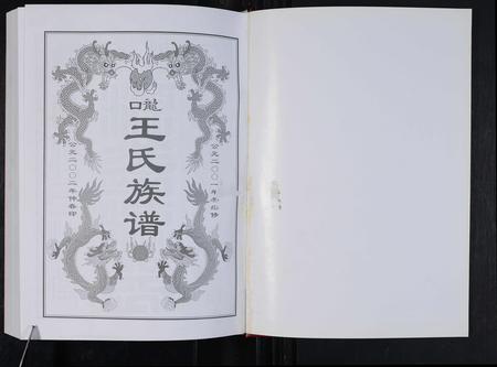 安徽王氏族谱-龙口王氏族谱 [2卷,首1卷].pdf电子版插图1