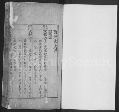 安徽魏氏族谱-魏氏宗谱 [残卷].pdf电子版插图1