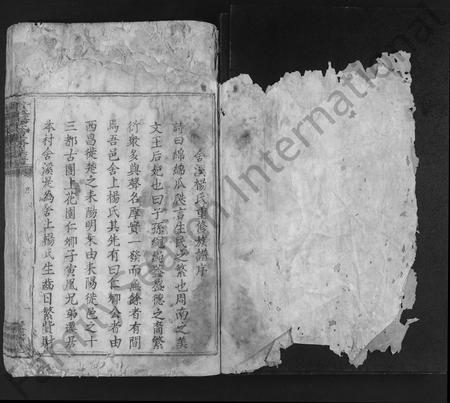 江西杨氏族谱-舍溪杨氏重修族谱 [不分卷].pdf电子版插图1