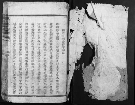 江西杨氏族谱-莲湖杨氏宗谱.pdf电子版插图1