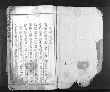 江西袁氏族谱-袁氏十修族谱[不分卷].pdf电子版插图1