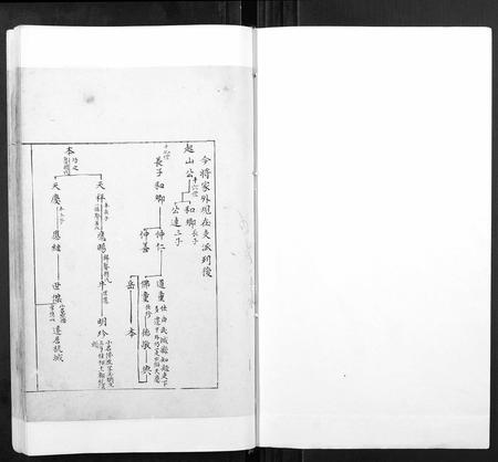安徽张氏族谱-张氏宗谱[不分卷].pdf电子版插图1