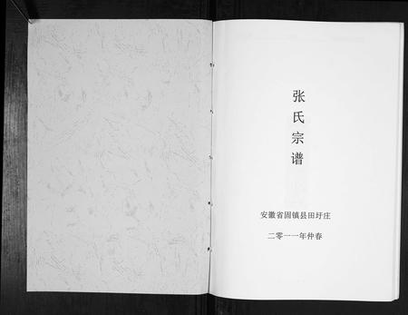 安徽张氏族谱-张氏宗谱[不分卷].pdf电子版插图1