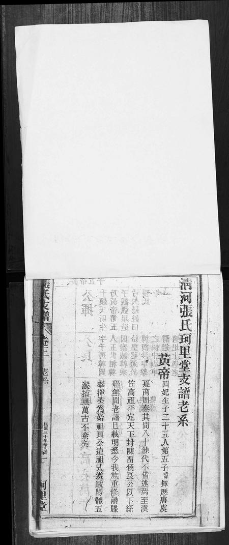 安徽张氏族谱-张氏支谱.pdf电子版插图1