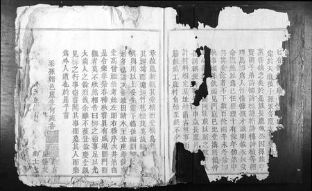 江西张氏族谱-南安四邑张续修族谱[不分卷].pdf电子版插图1
