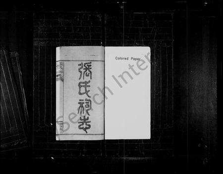 江西张氏族谱-张氏祠志 [4卷].pdf电子版插图1