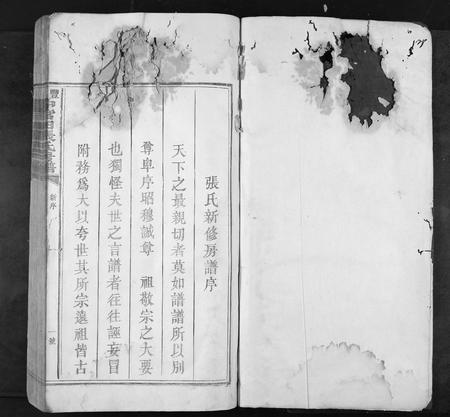 江西张氏族谱-丰邑中官田张氏房谱[不分卷].pdf电子版插图1