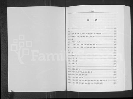 安徽王氏族谱-王氏族谱.pdf电子版插图1