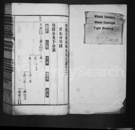 安徽奚氏族谱-安徽省芜湖县奚氏宗谱.pdf电子版插图1