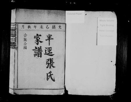 江西张氏族谱-兴邑半迳张氏四修家谱.pdf电子版插图1