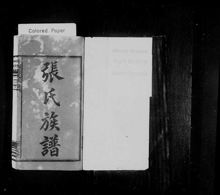 江西张氏族谱-萍西张氏族谱 [5卷,首2卷].pdf电子版插图1
