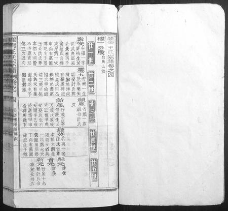 安徽王氏族谱-龙湾王氏宗谱.pdf电子版插图1
