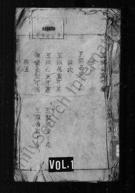 安徽王杨氏族谱-太原王杨氏支谱 [25卷,首1卷,末2卷].pdf电子版插图1