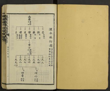 江西严氏族谱-苏溪严氏族谱 [20卷及卷首].pdf电子版插图1