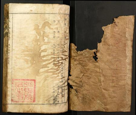 福建廖氏族谱-廖氏族谱.pdf电子版插图1