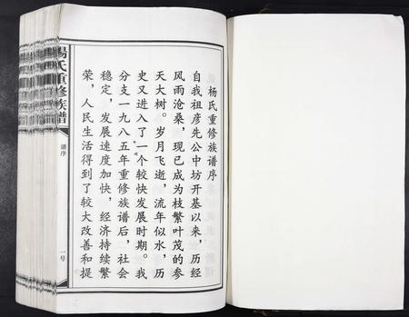 江西杨氏族谱-杨氏重修族谱[不分卷].pdf电子版插图1
