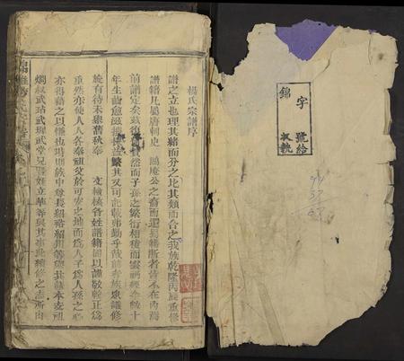 江西杨氏族谱-锦滩杨氏宗谱 [残卷].pdf电子版插图1