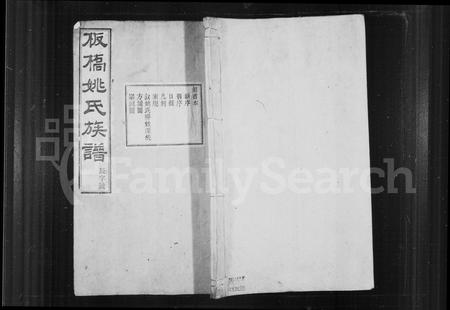 安徽姚氏族谱-板桥姚氏族谱 [10卷,首末各1卷].pdf电子版插图1