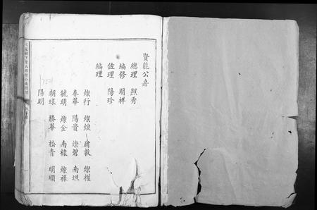 江西叶氏族谱-七星树下叶氏都督公裔谱牒.pdf电子版插图1