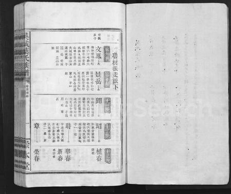 江西叶氏族谱-吴城叶氏宗谱 [不分卷].pdf电子版插图1
