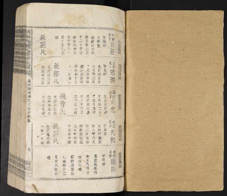 江西叶氏族谱-赣南吉叶氏联修族谱.pdf电子版插图1