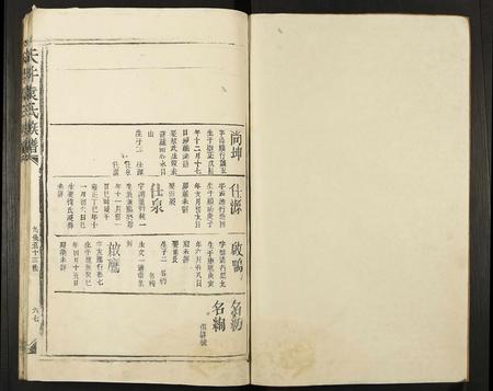 江西袁氏族谱-天井袁氏族谱.pdf电子版插图1