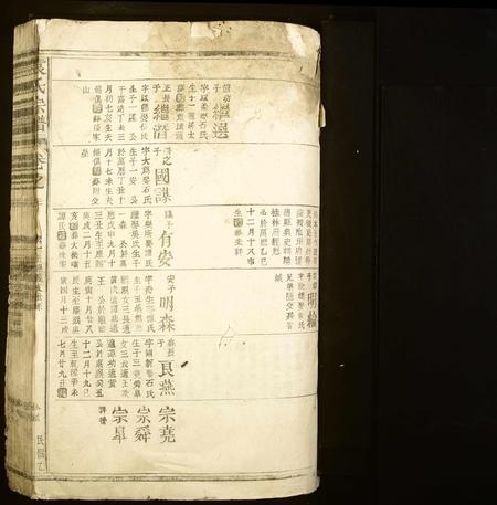 江西袁氏族谱-袁氏宗谱.pdf电子版插图1