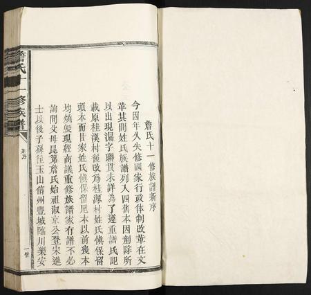 江西詹氏族谱-詹氏十一修族谱.pdf电子版插图1