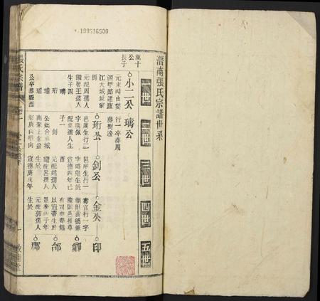 安徽张氏族谱-张氏宗谱.pdf电子版插图1
