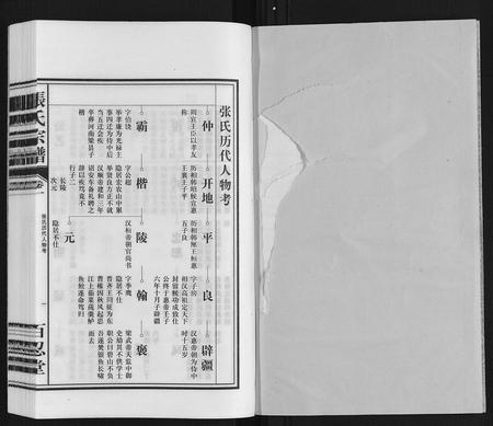 安徽张氏族谱-张氏宗谱.pdf电子版插图1