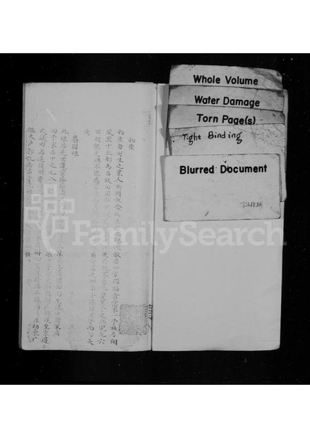 福建林氏族谱-林希元家谱.pdf电子版插图1 福建林氏族谱-林希元家谱.pdf电子版插图1