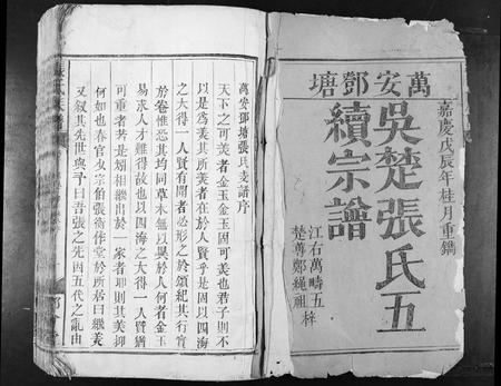 江西张氏族谱-张氏族谱[不分卷].pdf电子版插图1