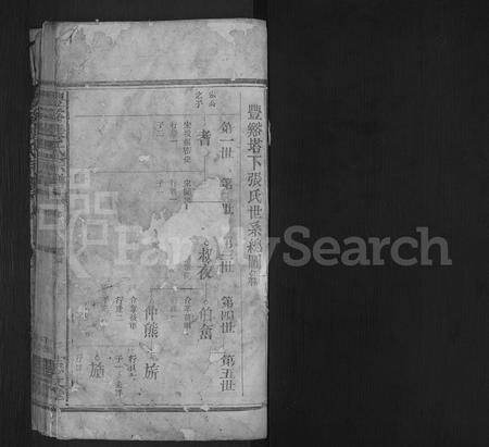 江西张氏族谱-丰谿张氏宗谱 [不分卷].pdf电子版插图1
