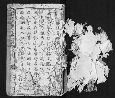 江西锺氏族谱-瑞金清溪锺氏九修族谱[不分卷].pdf电子版插图1