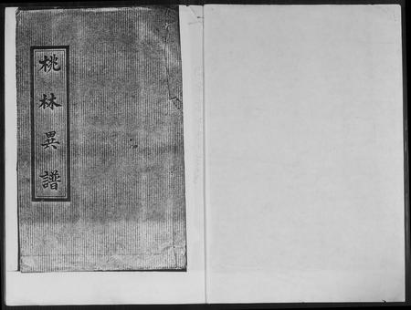 福建林氏族谱-桃源遐龄林氏族谱.pdf电子版插图1 福建林氏族谱-桃源遐龄林氏族谱.pdf电子版插图1