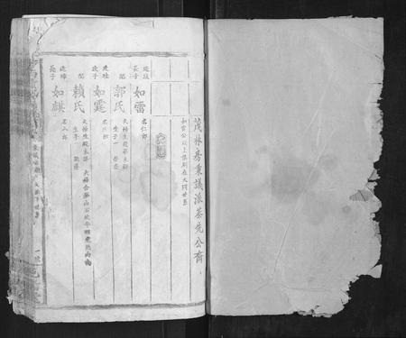 江西邹氏族谱-吉南赣邹氏族谱[不分卷].pdf电子版插图1