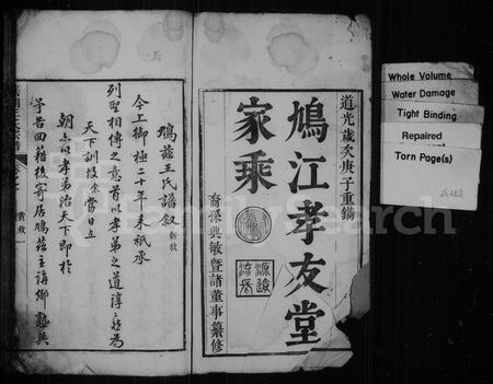 安徽王氏族谱-鸠江孝友堂家乘 [6卷](芜湖王氏宗谱).pdf电子版插图1