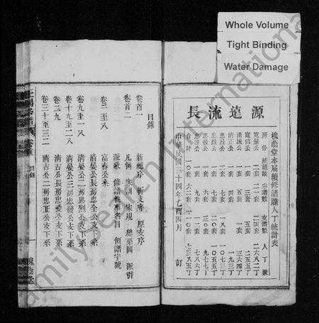 安徽王氏杨氏族谱-太原王杨宗谱 [43卷,含卷首,又末2卷].pdf电子版插图1