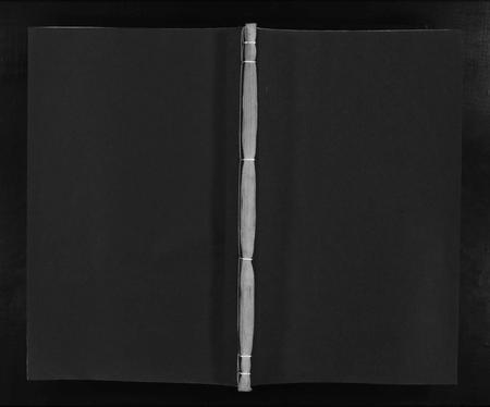 江西杨氏族谱-甯都小东关杨氏初修族谱 [8卷,含首1卷].pdf电子版插图1