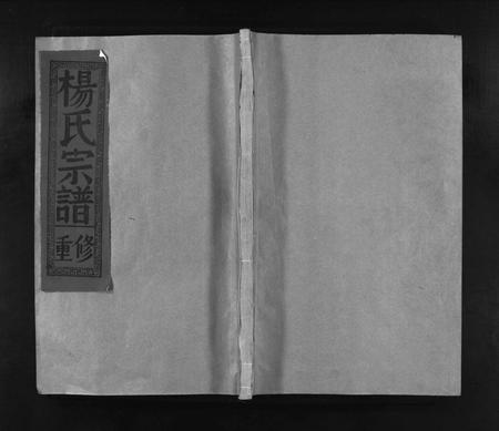 江西杨氏族谱-锦滩杨氏宗谱 [8卷,及卷首].pdf电子版插图1
