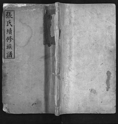 江西张氏族谱-张氏续修族谱 [8卷,首1卷].pdf电子版插图1