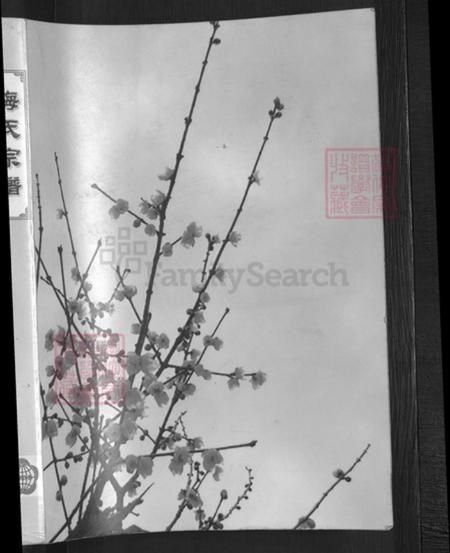 湖北省孝感市孝昌县梅氏汝南堂族谱-梅氏宗谱.武汉黄陂陂南篇.pdf电子版插图1