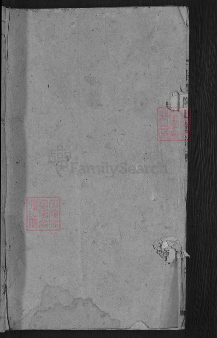 湖南省郴州市桂东县大塘镇陈氏颕川堂族谱-陈氏族谱.pdf电子版插图1