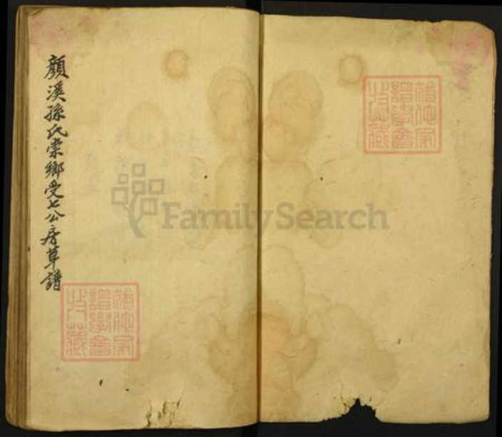 湖南省怀化市洪江市大崇乡孙氏族谱-颜溪崇乡孙氏九修草谱.pdf电子版插图1