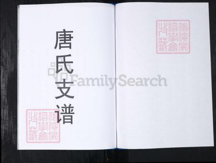 山东省青岛市崂山区唐氏族谱-西麦窑社区唐氏支谱.pdf电子版插图1