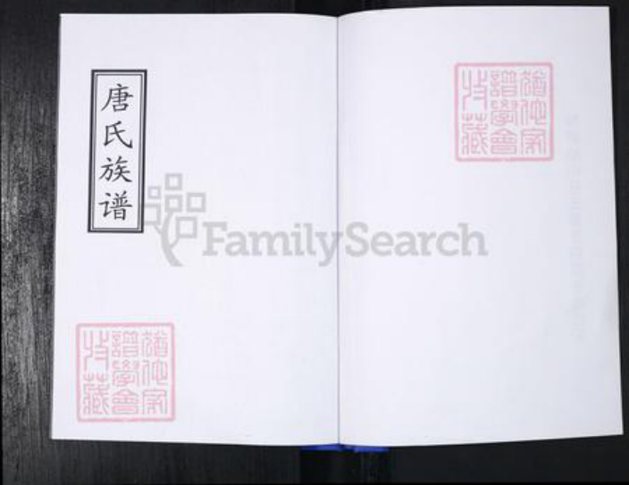 山东省青岛市崂山区唐氏族谱-青山社区唐氏族谱.pdf电子版插图1 山东省青岛市崂山区唐氏族谱-青山社区唐氏族谱.pdf电子版插图1